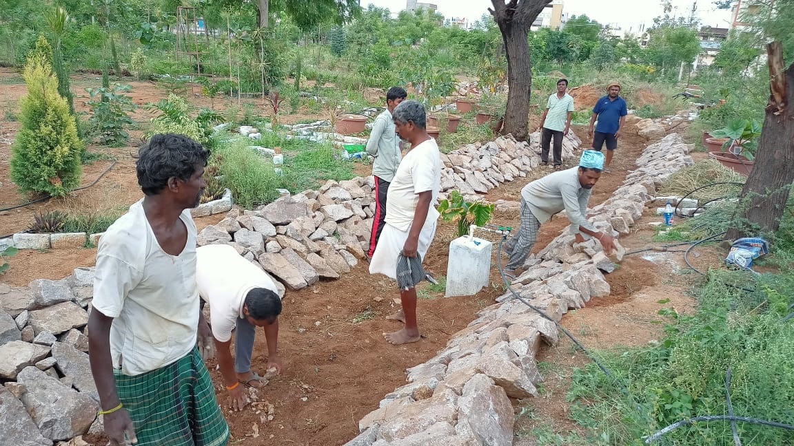 Revitment work at Telangana Botanical Garden