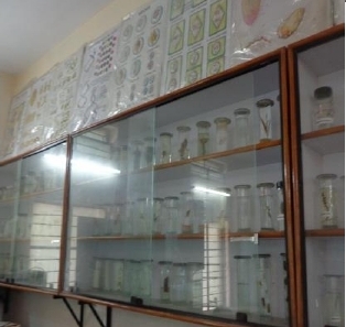 Botany Laboratory