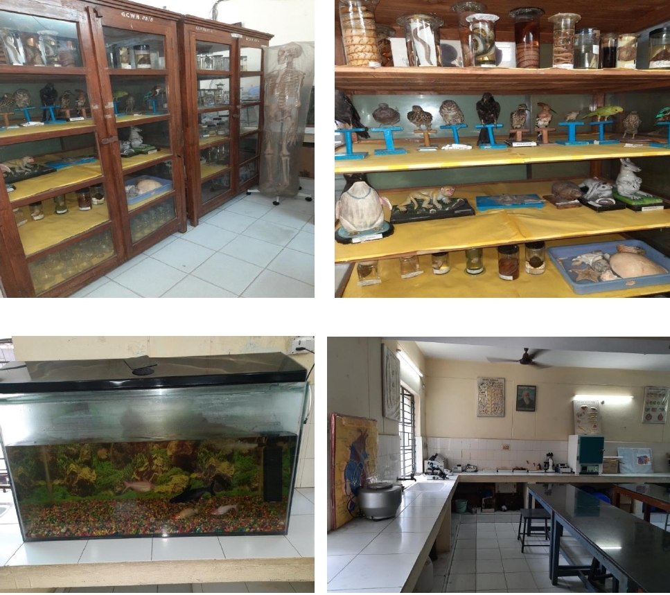 Zoology Laboratory 