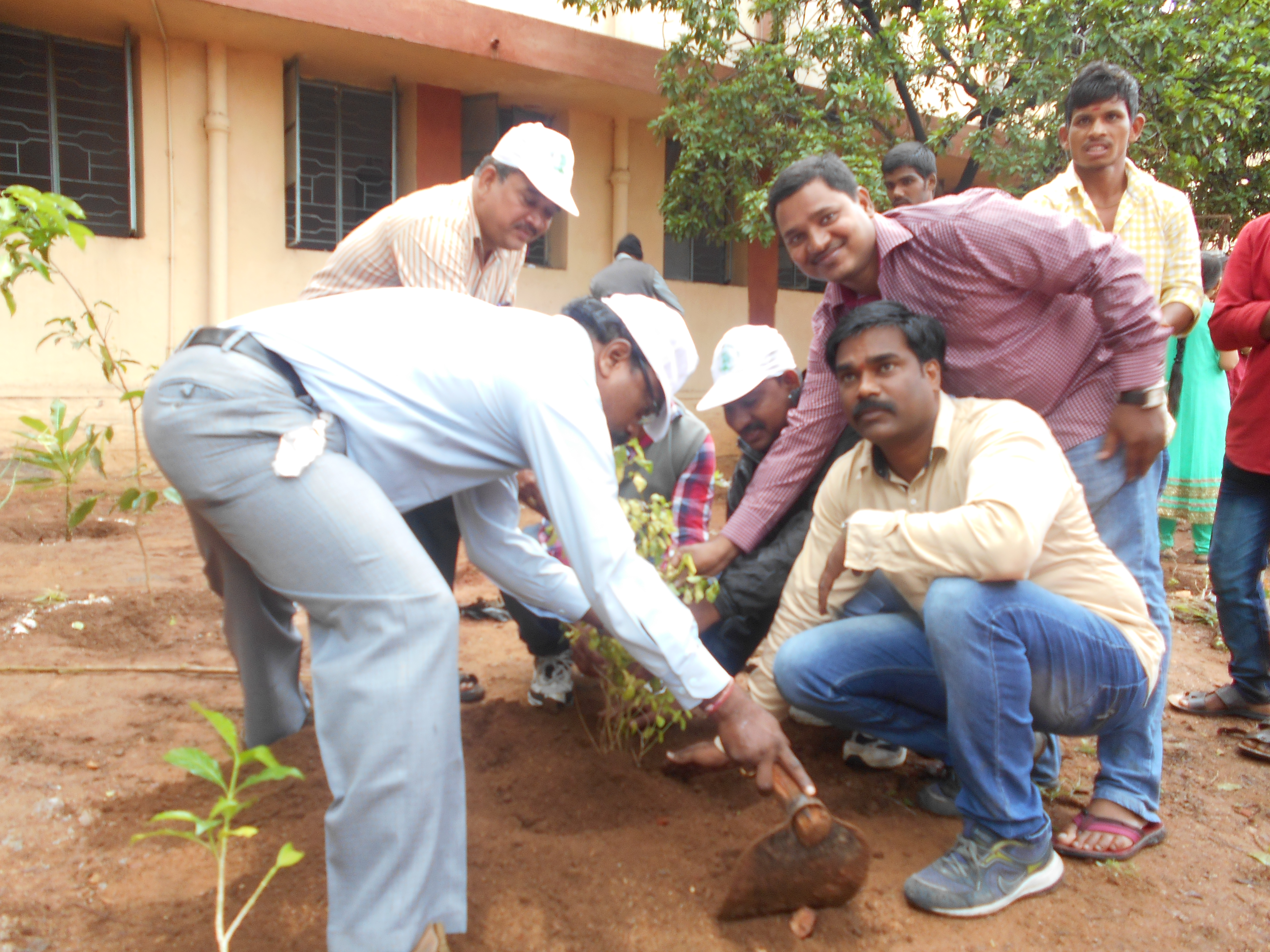 Haritha Haram Programme Conducted on 11.07.2016