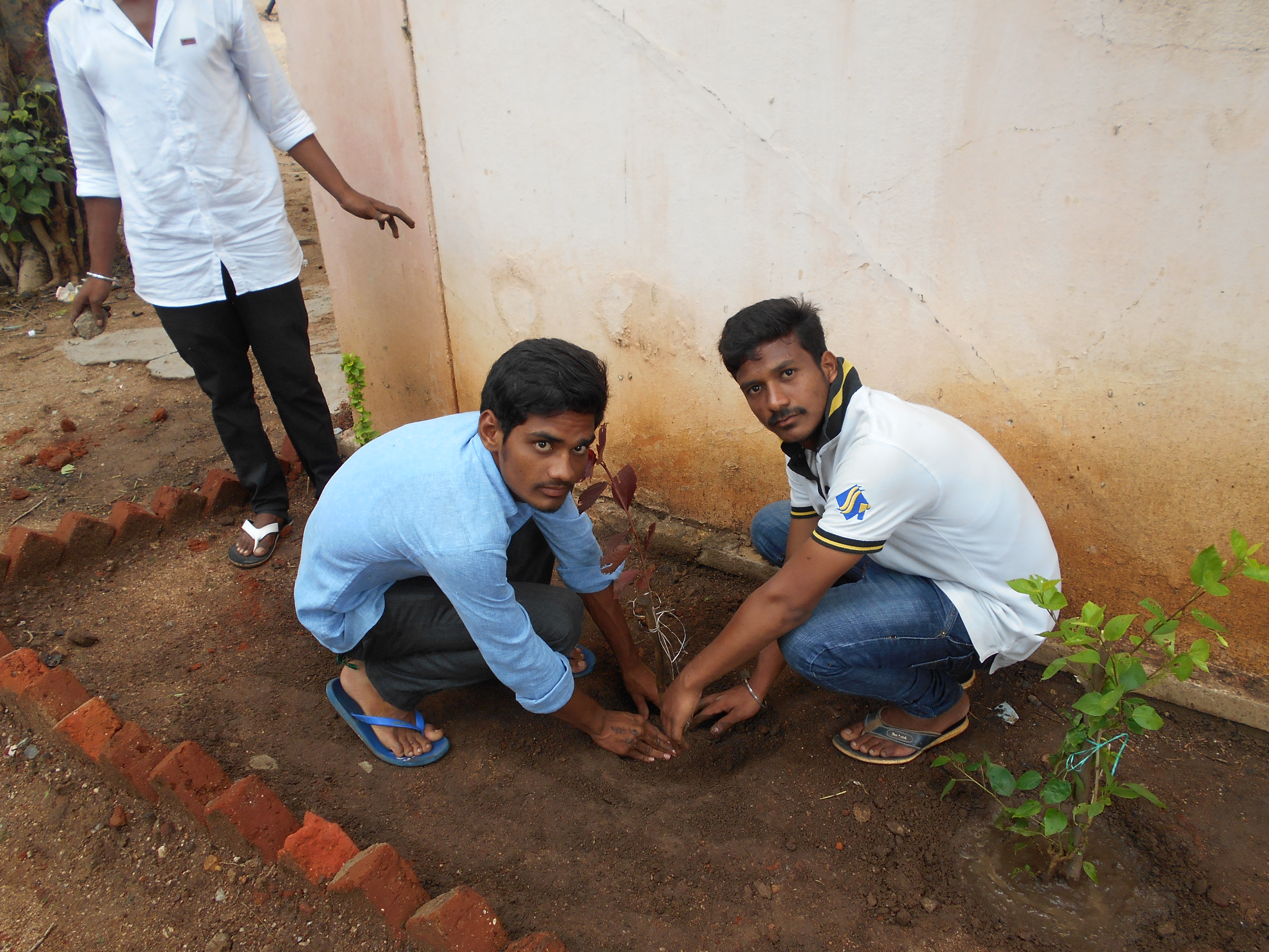 Haritha Haram Programme Conducted on 19.07.2016(GDC Kukatpally College Staff&Students attended for this programme) 